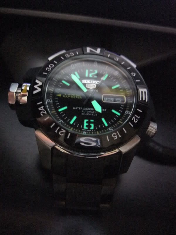 skz231
